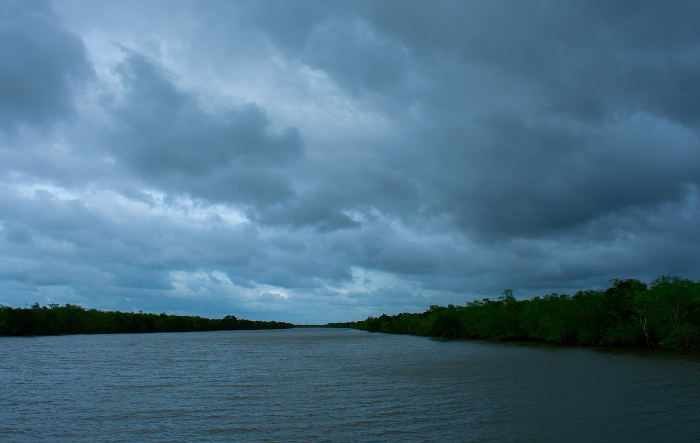 River Delta