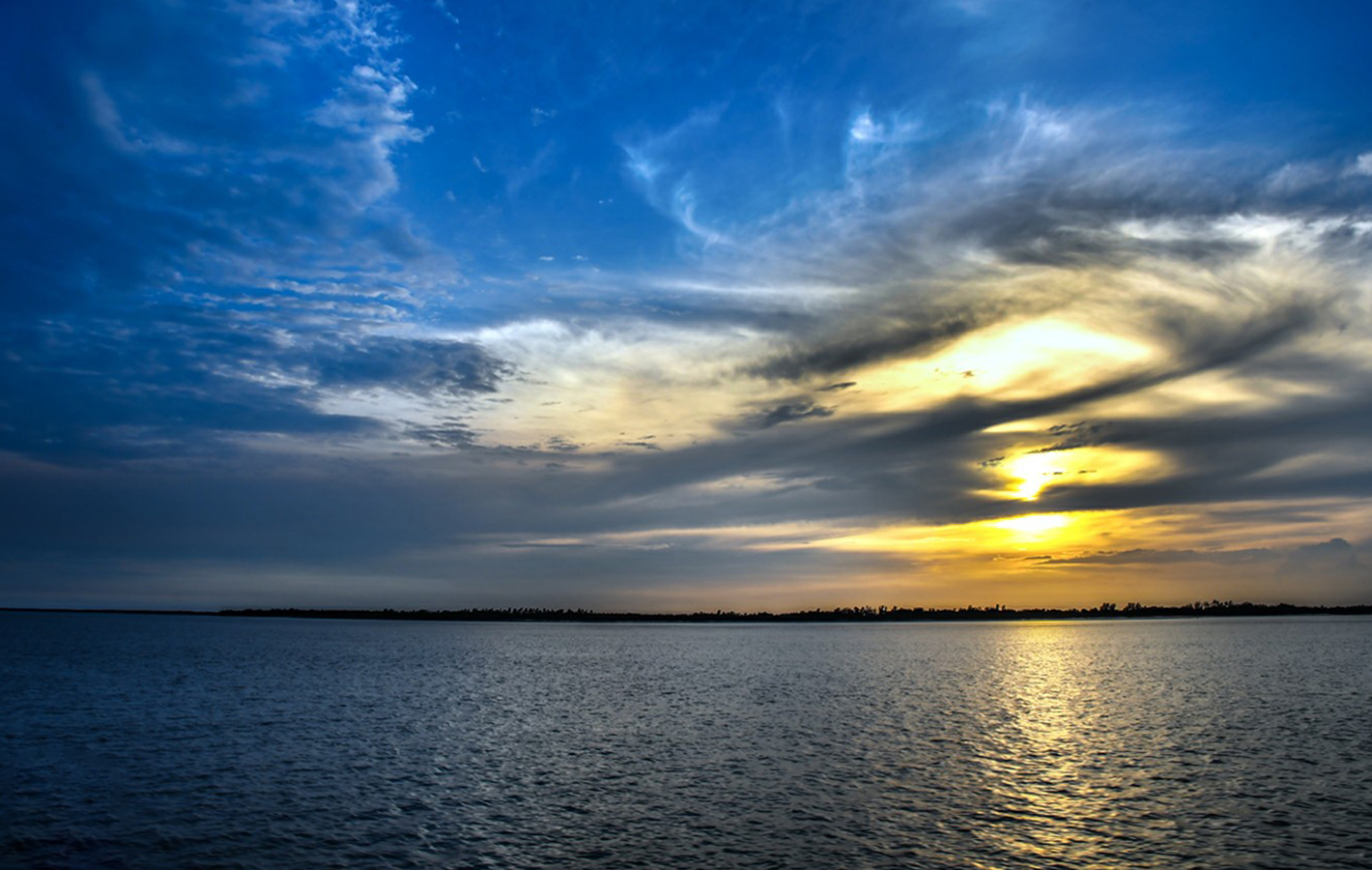 River Delta