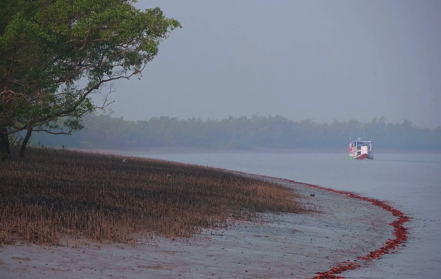 River Delta
