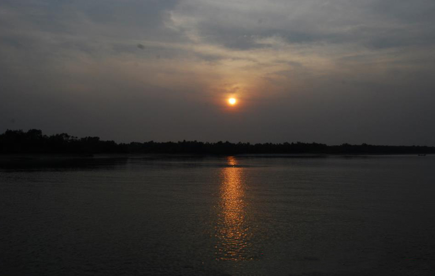 River Delta
