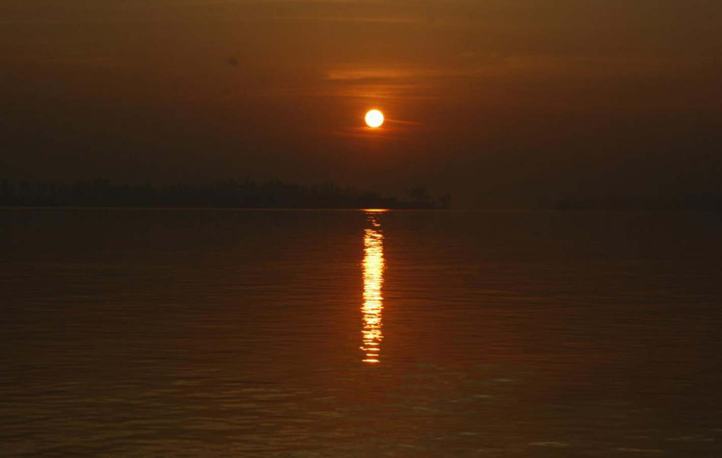 River Delta
