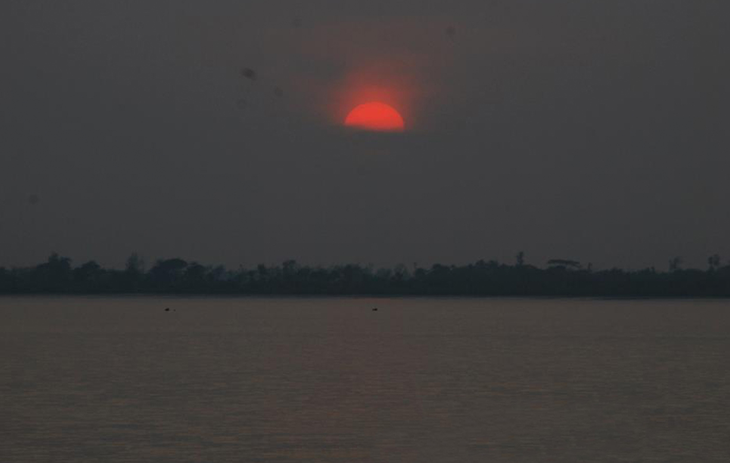 River Delta
