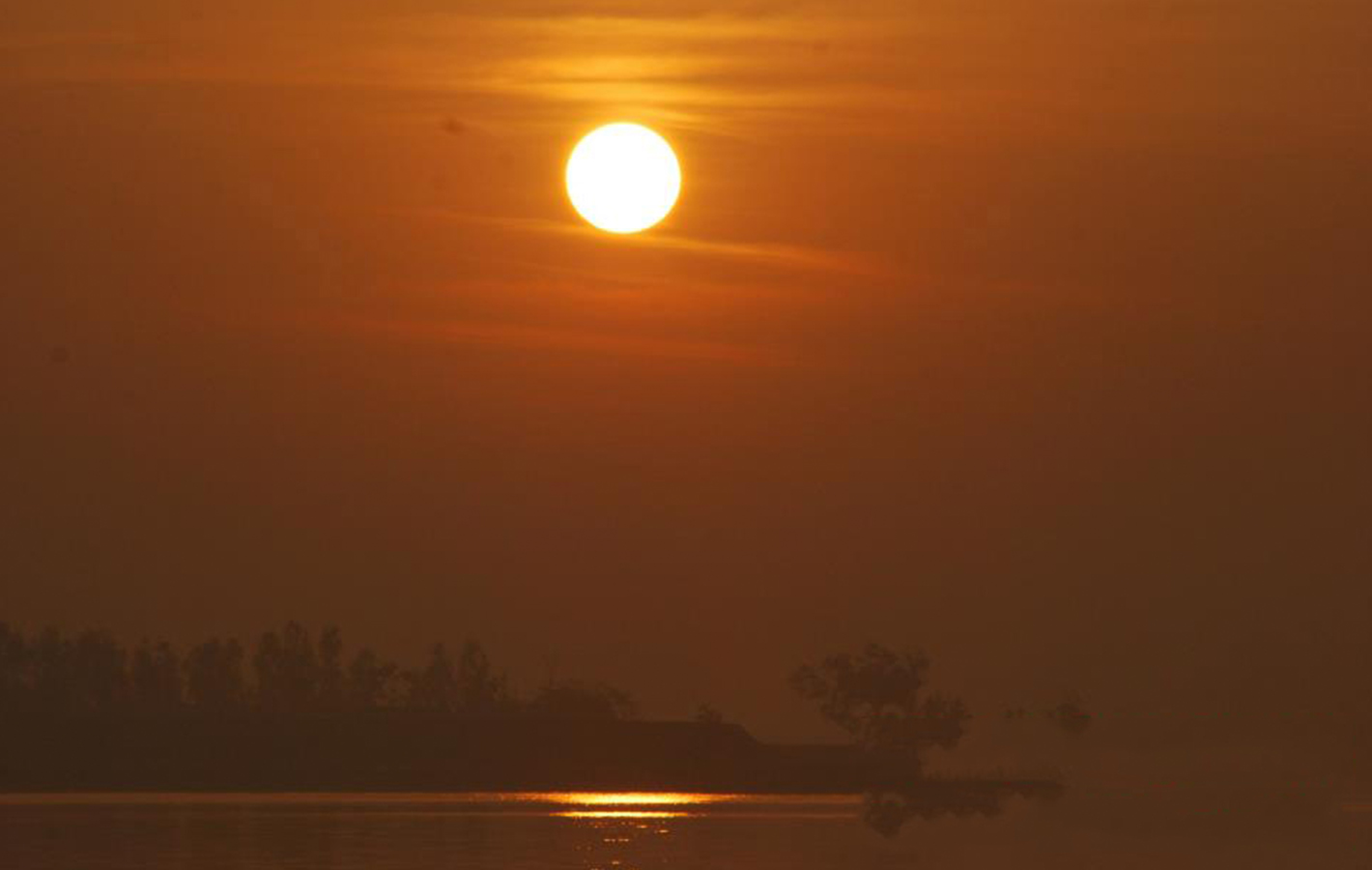 River Delta