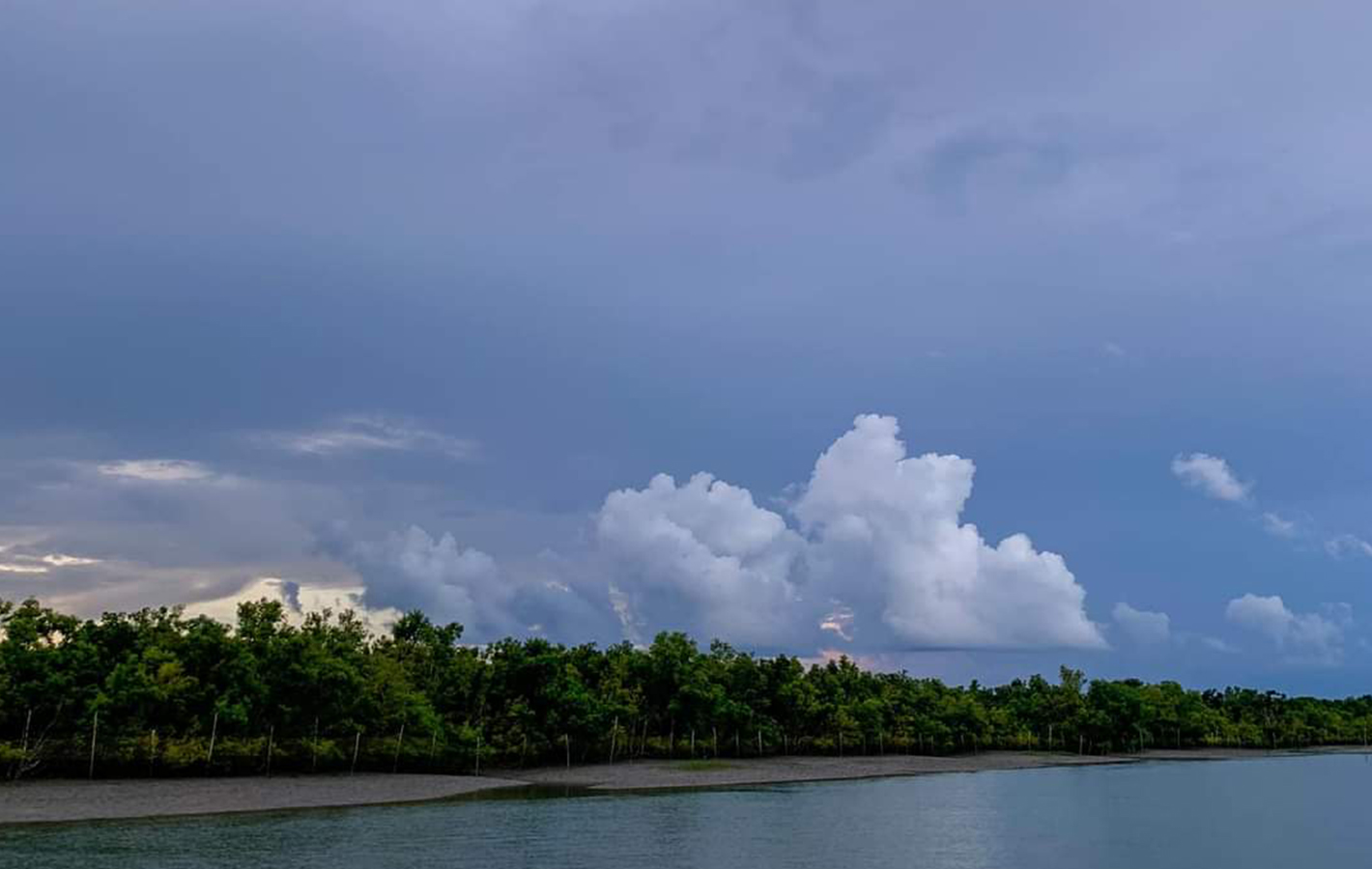 River Delta