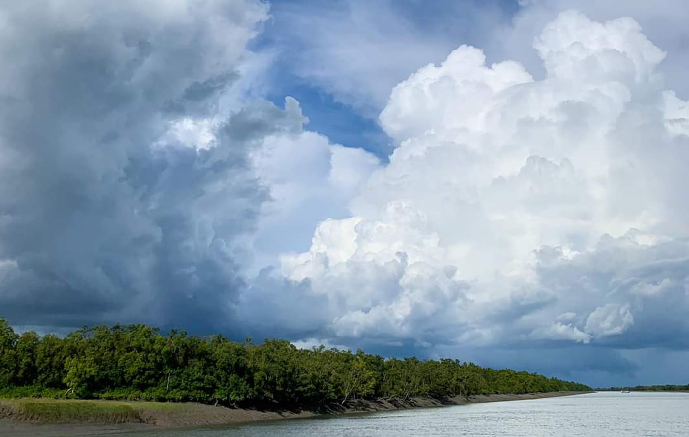 River Delta