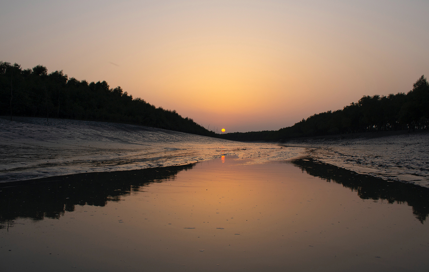 River Delta