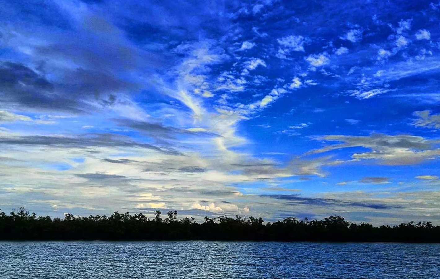 River Delta