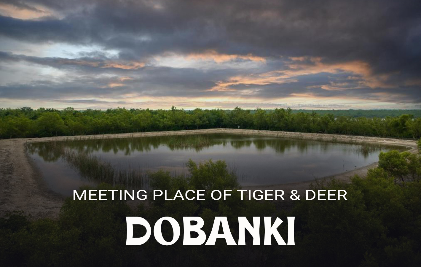 Dobanki
